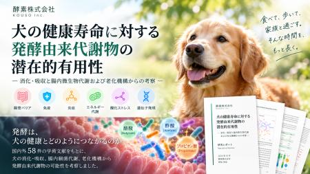 犬の健康寿命に「発酵由来代謝物」はどう関わるのか。 犬の健康寿命に「発酵由来代謝物」はどう関わるのか。