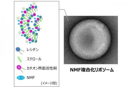 「保湿してもすぐ乾く」に向けた保湿のデュアルアクシ 「保湿してもすぐ乾く」に向けた保湿のデュアルアクシ