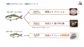 CAMPFIREにてクラウドファンディングを開始【極寒ぶり CAMPFIREにてクラウドファンディングを開始【極寒ぶり