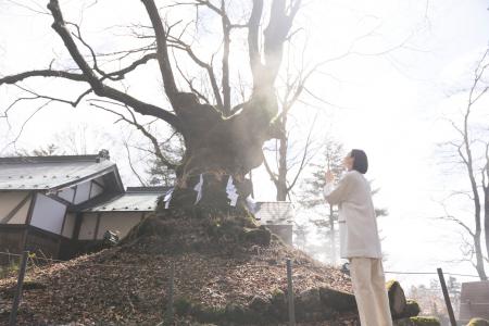 【星のや軽井沢】ビジネスや人生の節目に!樹齢1000年 【星のや軽井沢】ビジネスや人生の節目に!樹齢1000年