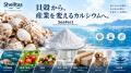 Shelltas、「Meet New Solution OTA 2027」に採択。9 Shelltas、「Meet New Solution OTA 2027」に採択。9