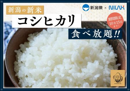 【新潟県産の新米『コシヒカリ』が食べ放題!!】10/15 【新潟県産の新米『コシヒカリ』が食べ放題!!】10/15