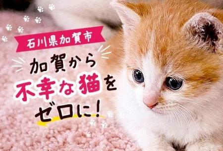 【石川県加賀市】「不幸な猫」をゼロに。177頭を支援 【石川県加賀市】「不幸な猫」をゼロに。177頭を支援