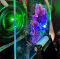 【大阪工業大学】光合成細菌をヒントに光エネルutf-8 【大阪工業大学】光合成細菌をヒントに光エネルutf-8