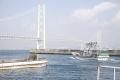 16年目の「淡路島の生しらす」を11月末まで提供utf-8 16年目の「淡路島の生しらす」を11月末まで提供utf-8
