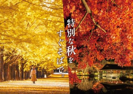 黄葉・紅葉まつり&秋の夜散歩2026開催|国営昭和記念 黄葉・紅葉まつり&秋の夜散歩2026開催|国営昭和記念