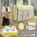 Amazonプライム感謝祭 サウナテントシリーズ購入のチ Amazonプライム感謝祭 サウナテントシリーズ購入のチ