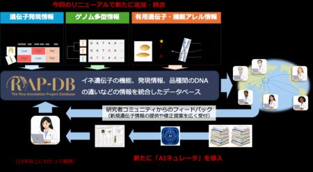 【農研機構】イネ遺伝子情報のデータベースをリutf-8 【農研機構】イネ遺伝子情報のデータベースをリutf-8