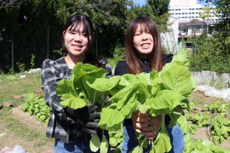 四天王寺大学×道明寺麦酒、「大阪しろな」を使っutf-8 四天王寺大学×道明寺麦酒、「大阪しろな」を使っutf-8