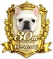 【株式会社ビーウェイブ 創業30周年グランドフィutf-8 【株式会社ビーウェイブ 創業30周年グランドフィutf-8