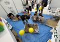 イエビー、「yabふれあいフェスタ2026」に出展。砂場 イエビー、「yabふれあいフェスタ2026」に出展。砂場