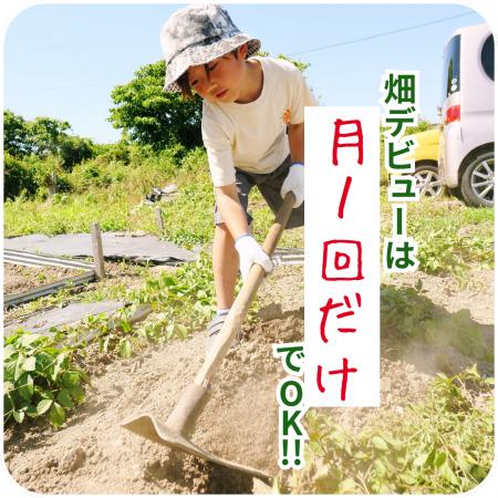 【法人も月1畑】福祉施設向け法人プランを11月より開 【法人も月1畑】福祉施設向け法人プランを11月より開