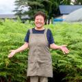 本格わらび餅作り教室 11月7日、北上市で開催 本格わらび餅作り教室 11月7日、北上市で開催