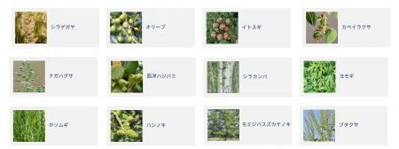 ナノイー(帯電微粒子水)技術が欧州の主要花粉アレル ナノイー(帯電微粒子水)技術が欧州の主要花粉アレル