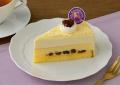 ご褒美チーズケーキが勢ぞろい!ザクザク、なめらか、 ご褒美チーズケーキが勢ぞろい!ザクザク、なめらか、