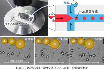 「午後の紅茶 おいしい無糖」の研究から、紅茶ポリフ 「午後の紅茶 おいしい無糖」の研究から、紅茶ポリフ
