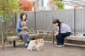 「HEBEL MAISON PAWTNER(※)」発売20周年 2026年度グ 「HEBEL MAISON PAWTNER(※)」発売20周年 2026年度グ