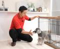 「HEBEL MAISON PAWTNER(※)」発売20周年 2026年度グ 「HEBEL MAISON PAWTNER(※)」発売20周年 2026年度グ