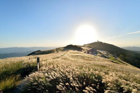 和歌山県・生石高原がススキの見頃シーズンに!標高87 和歌山県・生石高原がススキの見頃シーズンに!標高87