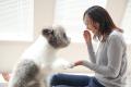 愛する犬や猫の食器、「ぬめり」の正体とは? 口臭と 愛する犬や猫の食器、「ぬめり」の正体とは? 口臭と
