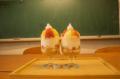 【山形・米沢】校舎に泊まれる宿「米沢みさわ小学校| 【山形・米沢】校舎に泊まれる宿「米沢みさわ小学校|