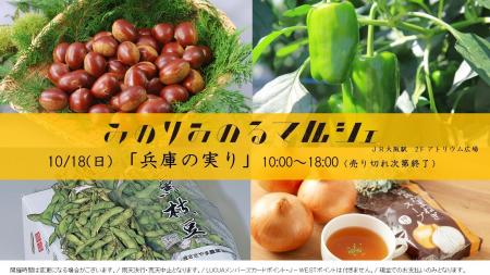 たじまピーマン詰め放題が1回200円!兵庫の特産品 たじまピーマン詰め放題が1回200円!兵庫の特産品