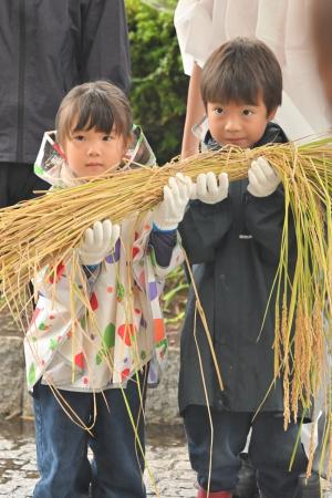 都会の親子約200名が、稲刈りで“秋の恵み”を体験!ア 都会の親子約200名が、稲刈りで“秋の恵み”を体験!ア