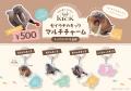 【南知多ビーチランド】セイウチ「キック」の門出を祝 【南知多ビーチランド】セイウチ「キック」の門出を祝