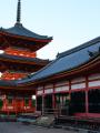 【10月20日開催】京都・清水寺でピンクライトアップ& 【10月20日開催】京都・清水寺でピンクライトアップ&