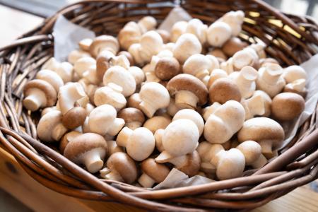 【農産物詰め放題祭り】秋冬の味覚を袋いっぱいに!千 【農産物詰め放題祭り】秋冬の味覚を袋いっぱいに!千