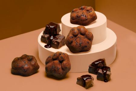 <10/17発売> 2種のビターチョコレートが織りなす、 <10/17発売> 2種のビターチョコレートが織りなす、