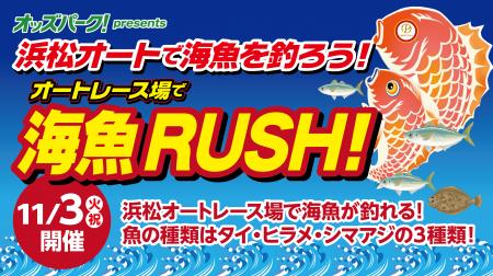 浜松オートレース場に“海魚の釣り堀”が再登場!1utf-8 浜松オートレース場に“海魚の釣り堀”が再登場!1utf-8