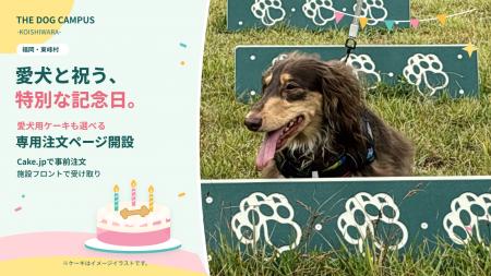 【福岡・東峰村】THE DOG CAMPUS -KOISHIWARA-、愛犬 【福岡・東峰村】THE DOG CAMPUS -KOISHIWARA-、愛犬