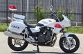 パトカー・白バイがこども園にやってくる!泉大津市が パトカー・白バイがこども園にやってくる!泉大津市が