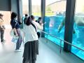 2日間で約2万人が訪れる天王寺動物園に、看護学生がつ 2日間で約2万人が訪れる天王寺動物園に、看護学生がつ