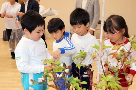 【11/2開催】使い終えた服が、子どもたちの畑でコット 【11/2開催】使い終えた服が、子どもたちの畑でコット