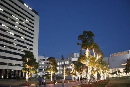 【福岡大学】キャンパスを彩るイルミネーションが点灯 【福岡大学】キャンパスを彩るイルミネーションが点灯