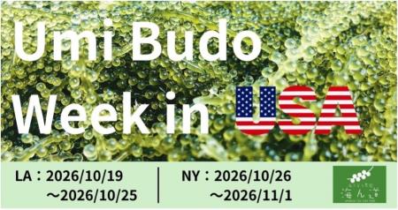 米国のレストラン19店舗と連携し、海ぶどうの新たな食 米国のレストラン19店舗と連携し、海ぶどうの新たな食