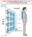 日本女子大学と産学協同で放熱性を測定！！AOKI独自素