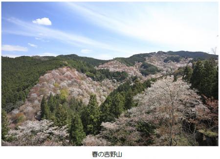（ご参考）吉野山の桜開花期間に合わせて臨時列utf-8