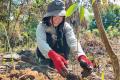 2024年夏休み　海外ボランティアプログラム　学生ボランティア募集「オランウータンの森 再生プロジェクト」