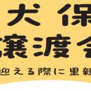 保護犬・保護猫の譲渡活動が拡大中！2025年７月以降　