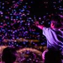 7月20日・21日、神代植物公園にて夜空を彩る「バブル