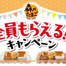 森のたまご全員もらえる!!キャンペーン開催(11月1日よ