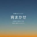初期導入費用ゼロで始められる、街の魅力を高める照明