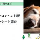 【おうちにプロ】ペットのエアコンへの影響に関するア