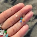 茅ヶ崎発 “マイクロプラスチック問題”をもっと身近に