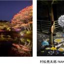 六甲高山植物園 一足早く「紅葉」が見頃！夜間開utf-8