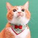 ハゲにくい猫首輪に『クリスマス限定モデル』が新登場