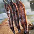 【愛知県西尾市】“秋うなぎ、ここから始まる”11月22日